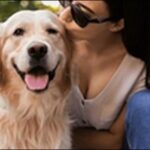 ハンドサインのコツ18選！シンプルで基本的な犬のしつけで役だつ