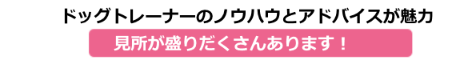 ドッグトレーナーのノウハウとアドバイスが魅力
見所が盛りだくさんあります！