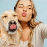 犬との上下関係のしつけは必要？信頼関係構築のコツ15選を解説