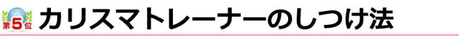 カリスマトレーナーのしつけ法