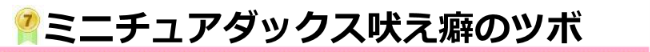 ミニチュアダックス吠え癖のツボ